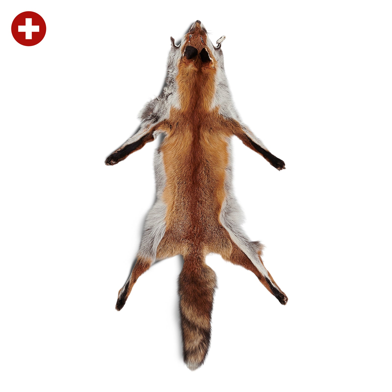 neuenschwander fuchsfell offen schweiz