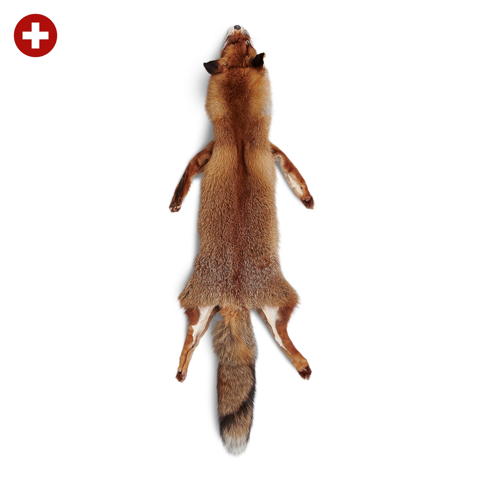 neuenschwander fuchsfell rund schweiz