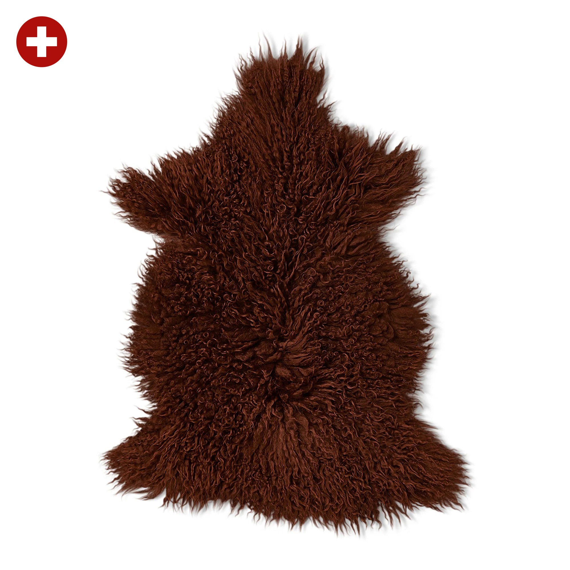 neuenschwander schaffell wallis langhaar gelockt schweiz weiss