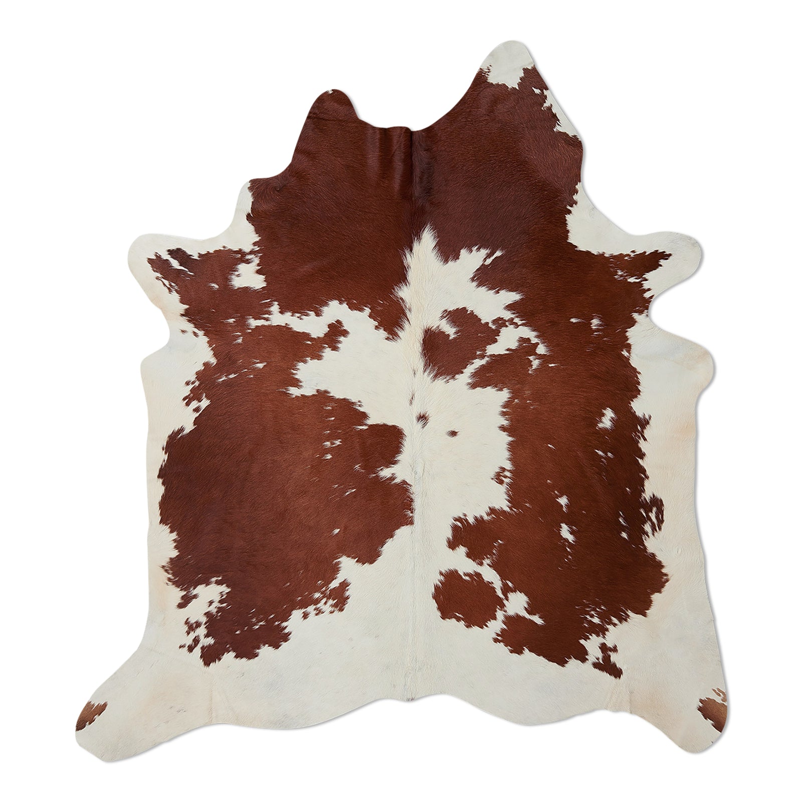 neuenschwander kuhhaut simmentaler rot-weiss braun-weiss gefleckt gescheckt