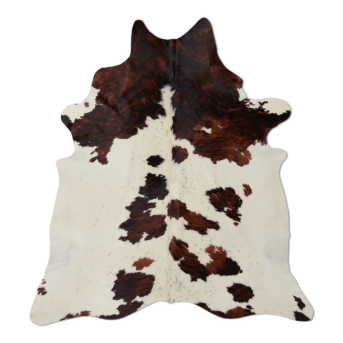 neuenschwander kuhhaut dreifarbig normannen gefleckt gescheckt