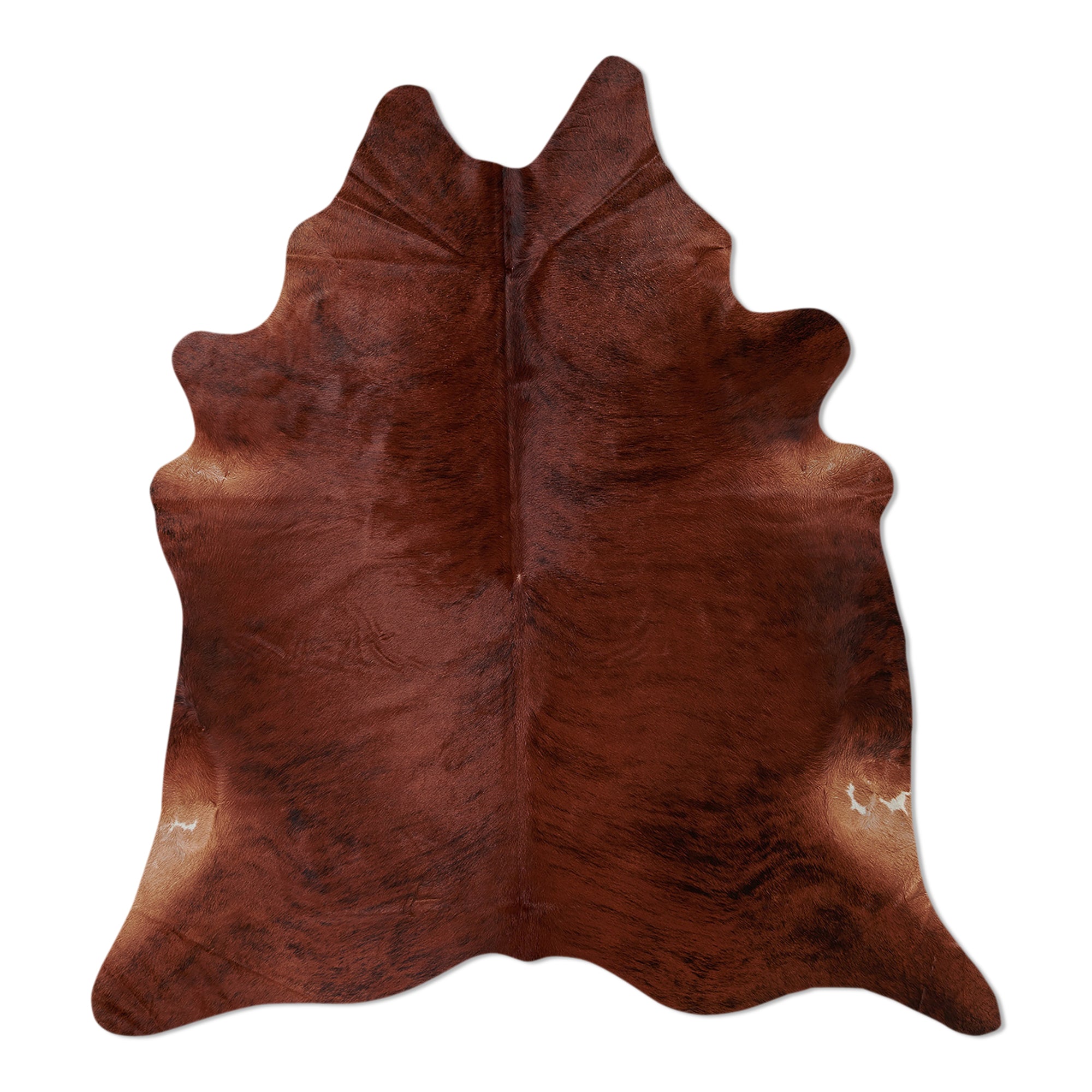 neuenschwander kuhfell exoten braun naturbraun gescheckt