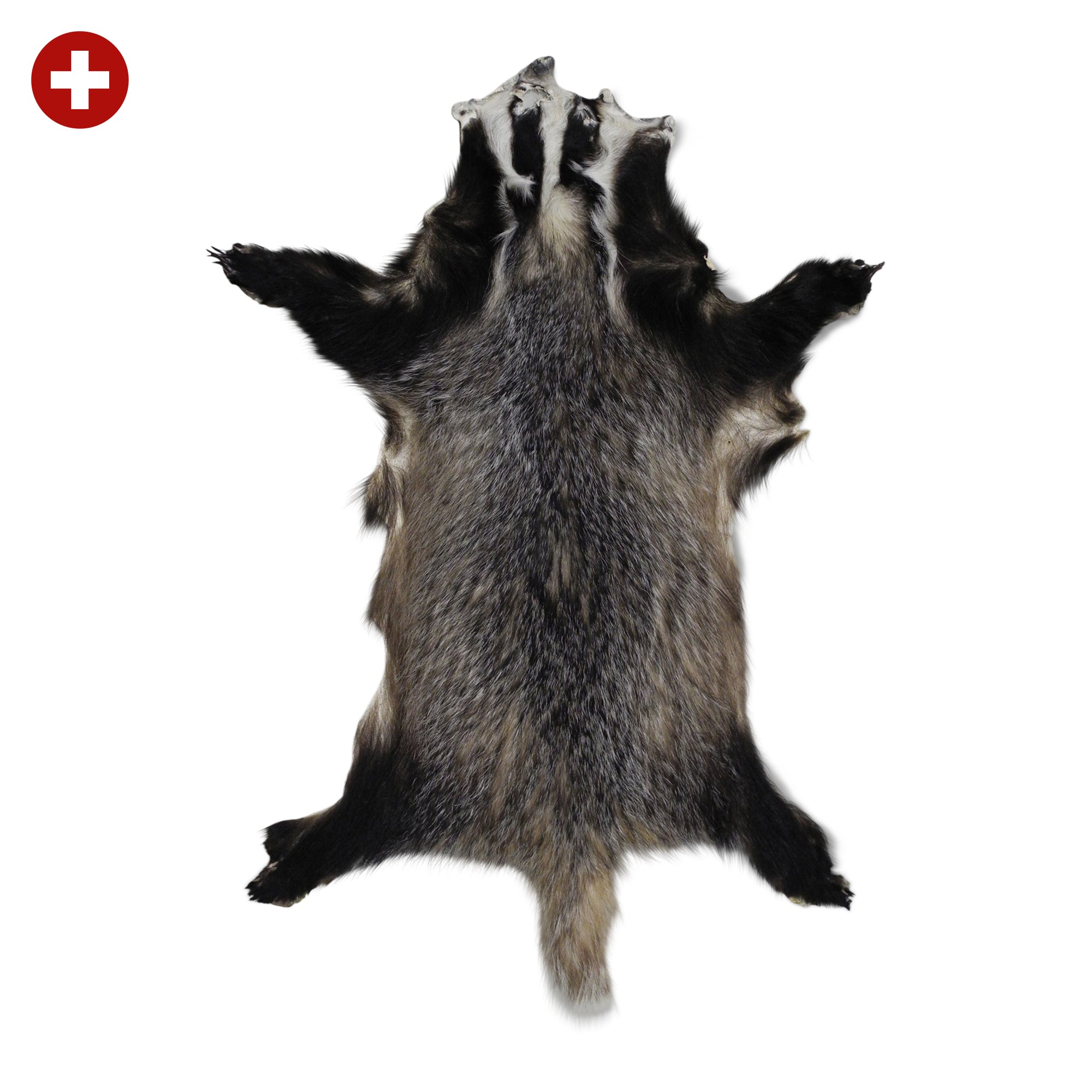 Neuenschwander Dachsfell grau schwarz weiss meliert Vorderansicht