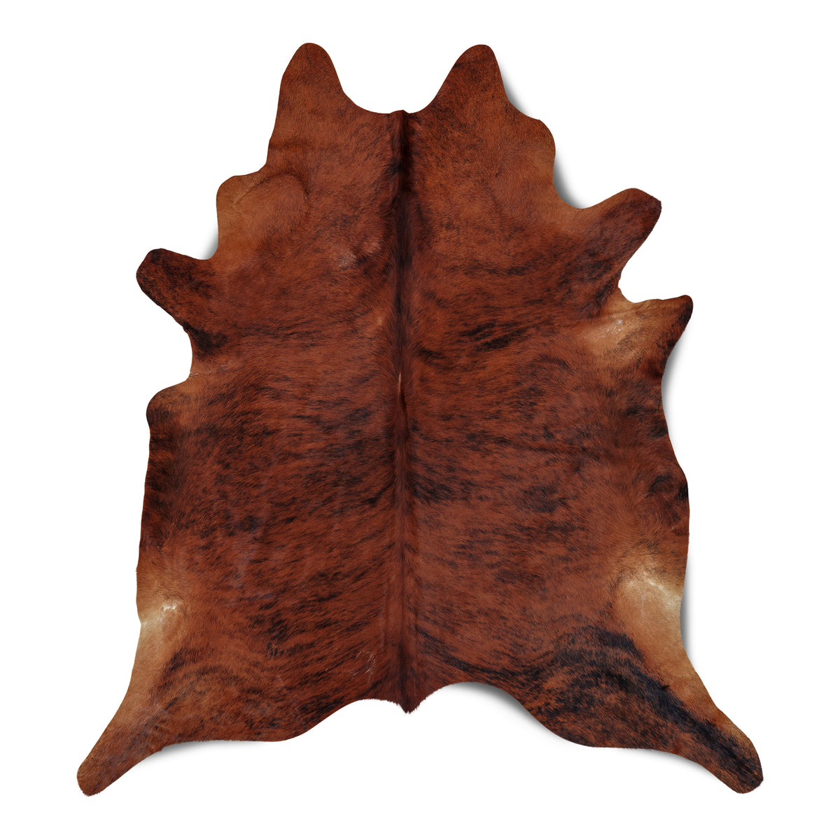 neuenschwander kuhfell exoten unikat