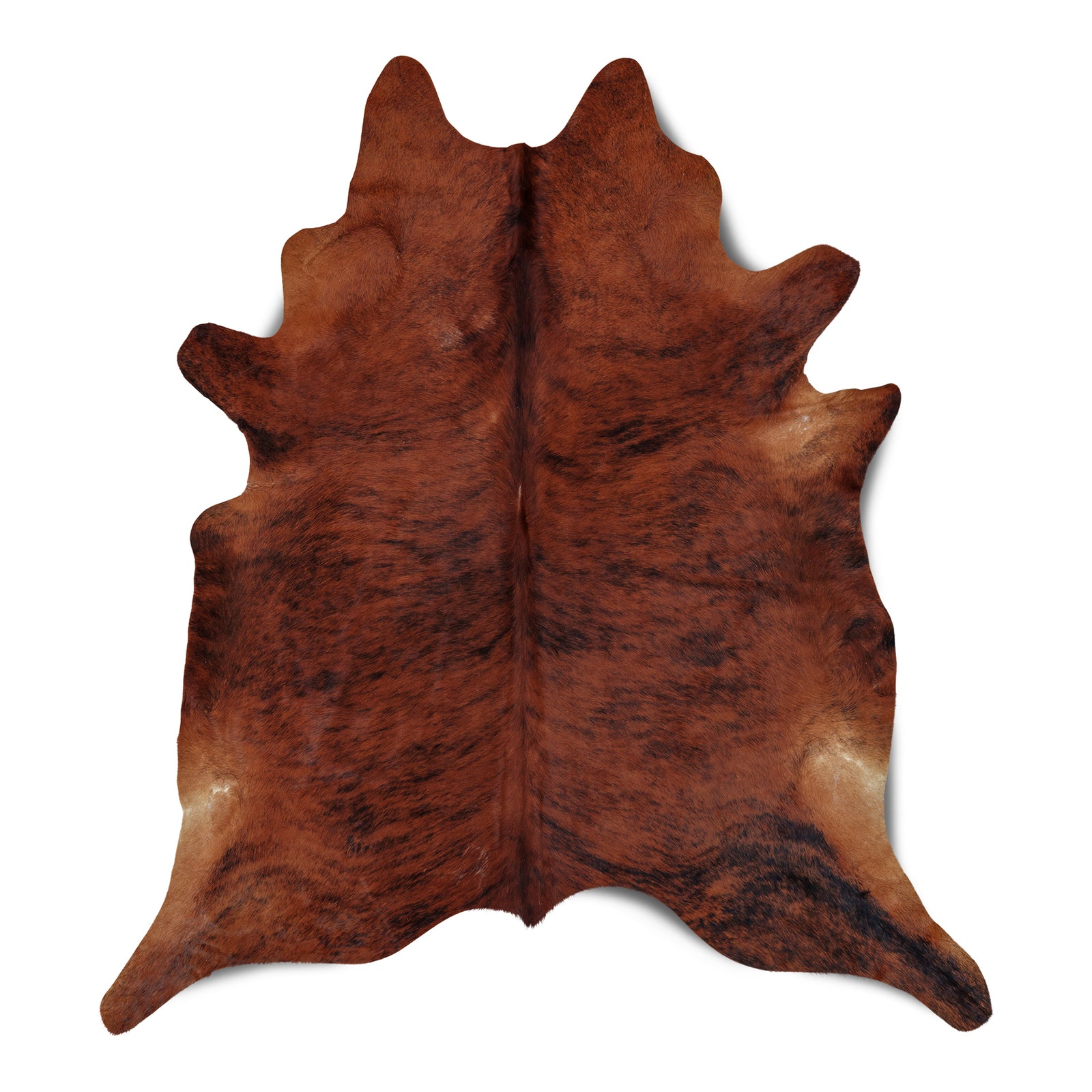 neuenschwander kuhfell exoten unikat