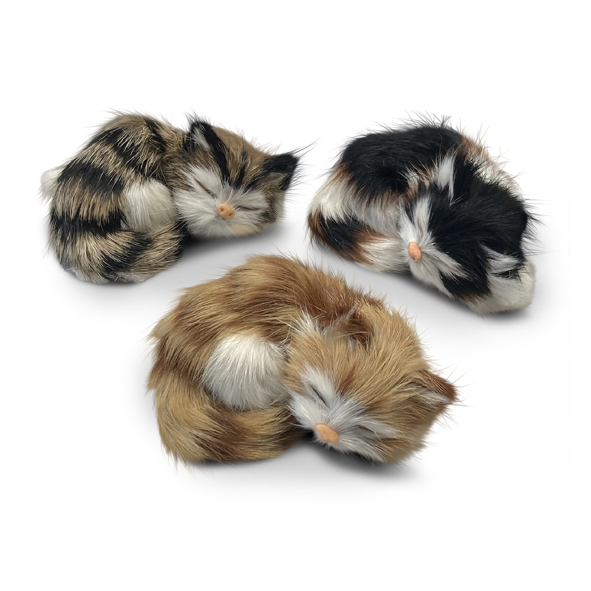 Neuenschwander Felltiere Felltierchen Kätzchen schlafend