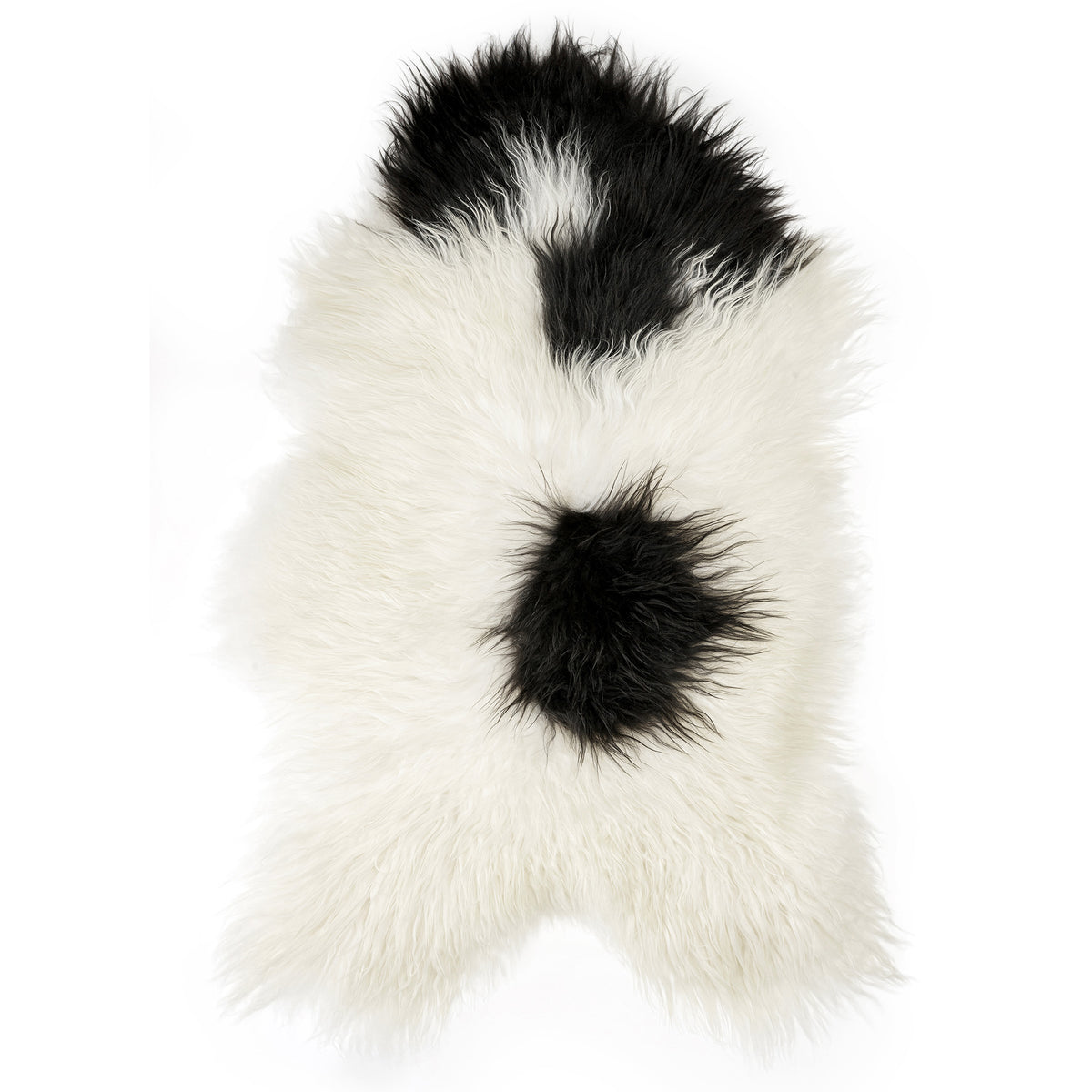 neuenschwander sheepskin island longhair natural white spotted or pied