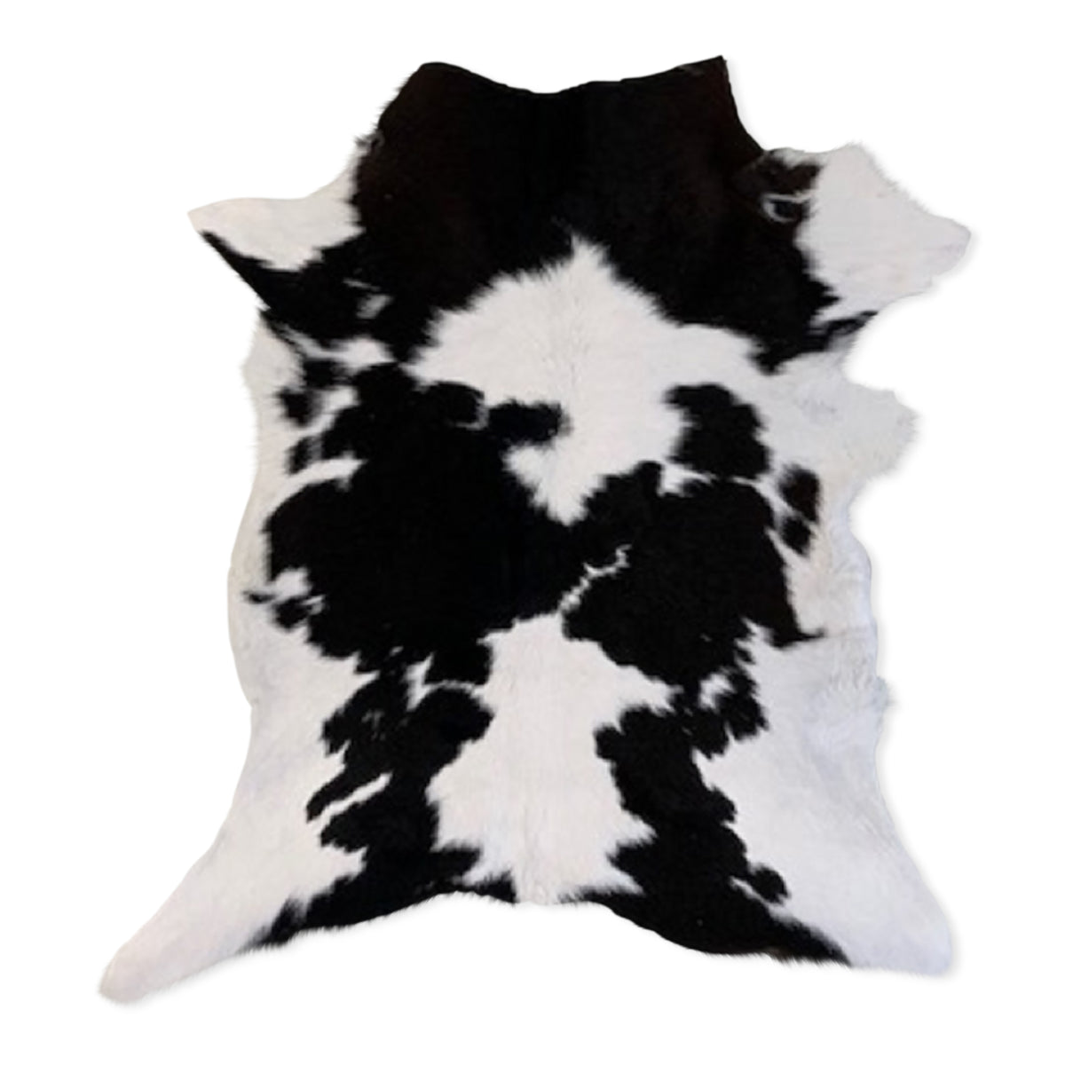 Neuenschwander Kuhfell Kalbfell schwarz weiss gefleckt Vorderansicht