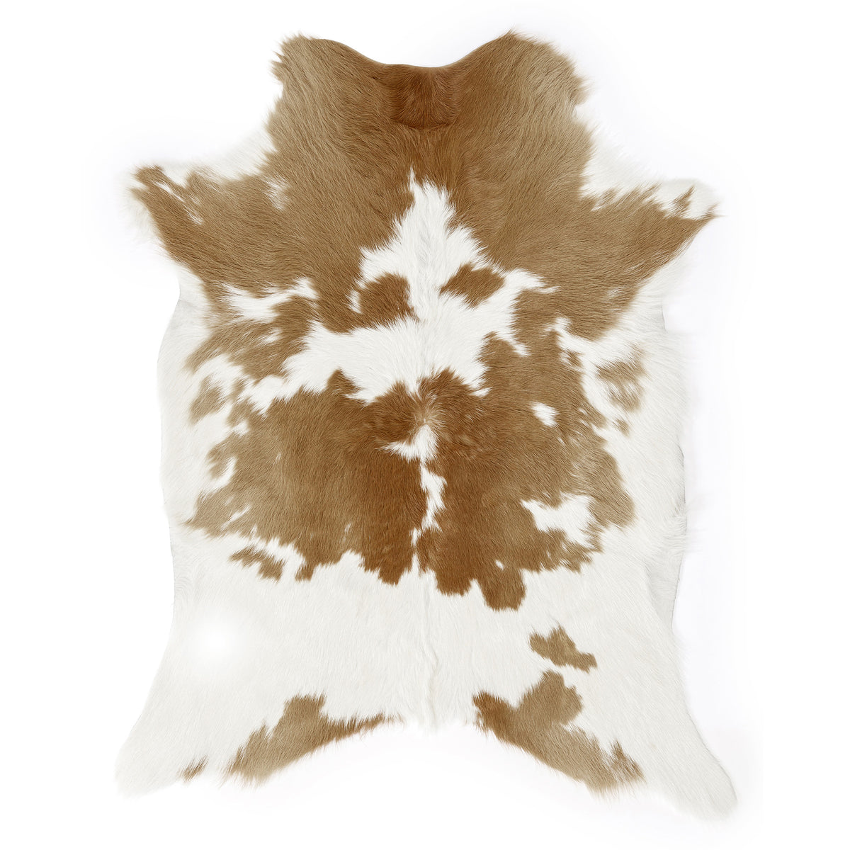 Neuenschwander Peau de vache Peau de veau rouge/brun tacheté blanc Vue de face