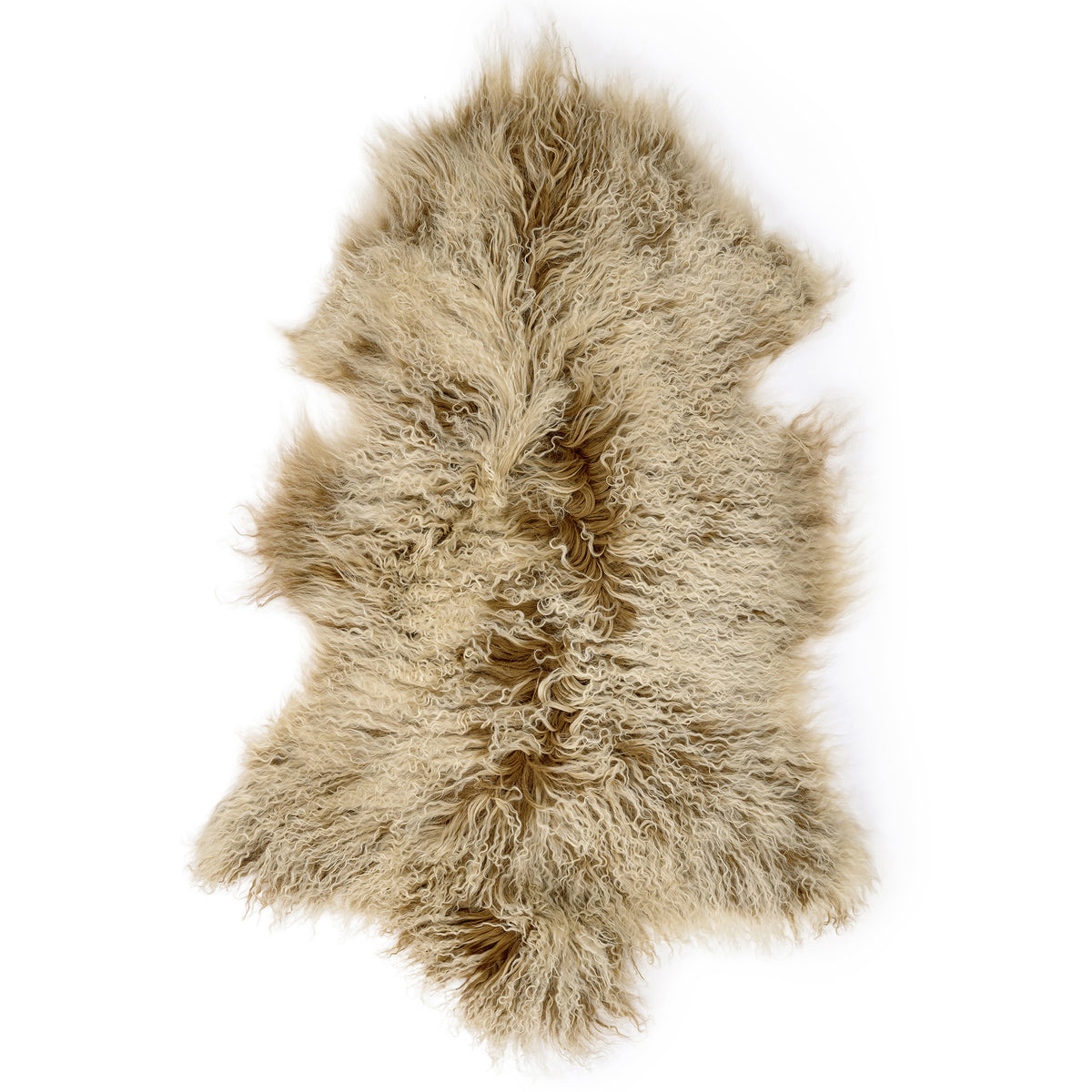 neuenschwander lammfell tibet langhaar gelockt braun mit weissen Spitzen