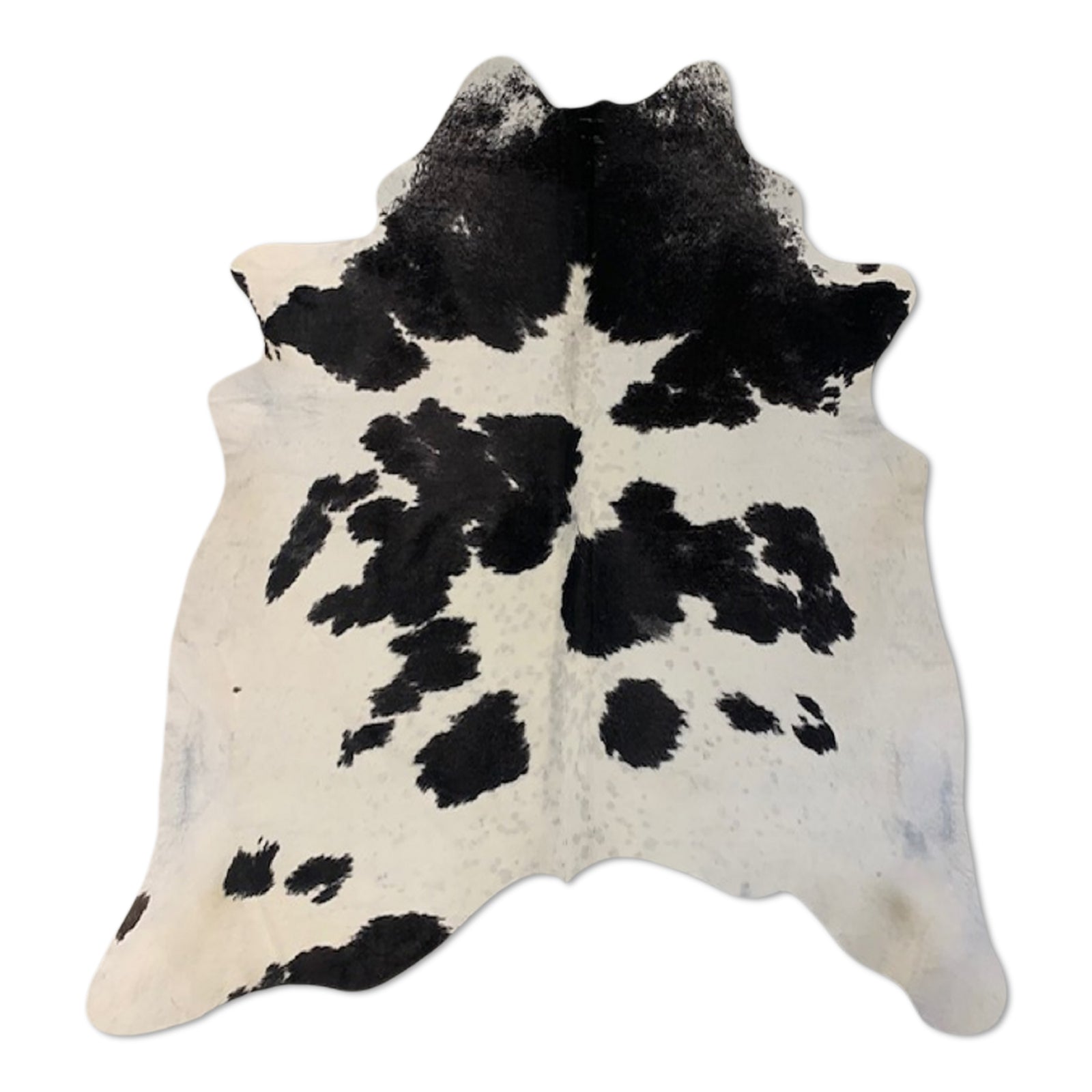 neuenschwander kuhhaut schwarz-weiss unikat gefleckt gescheckt