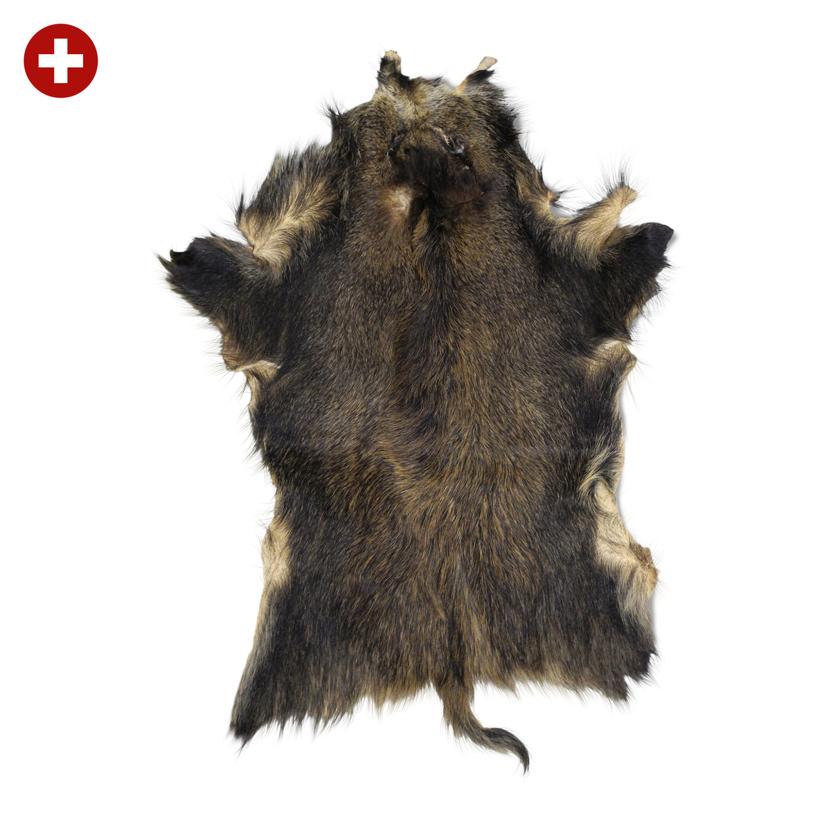 Neuenschwander Wildschweinfell dreifarbig Vorderansicht